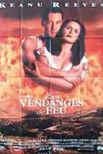 Watch A Walk in the Clouds Myflixer