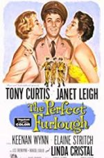 Watch The Perfect Furlough Myflixer