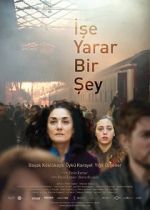 Watch Something Useful Myflixer