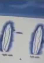 Watch Quantum Communication Myflixer