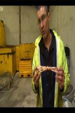 Watch The Hunt for Great Britains Metal Thieves Myflixer
