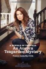 Watch A Bundle of Trouble: An Aurora Teagarden Mystery Myflixer