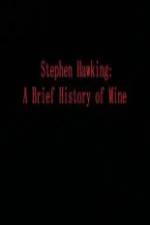 Watch Stephen Hawking A Brief History of Mine Myflixer