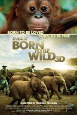 Watch Born to Be Wild Myflixer