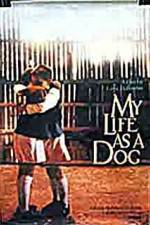 Watch My Life As A Dog Myflixer