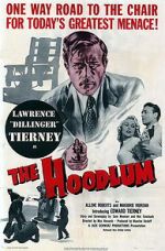Watch The Hoodlum Myflixer