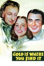 Watch Gold Is Where You Find It Myflixer