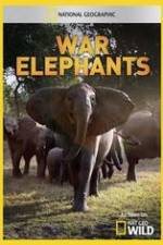 Watch War Elephants Myflixer