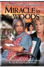 Watch Miracle in the Woods Myflixer