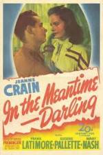 Watch In the Meantime Darling Myflixer