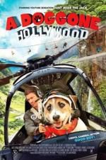 Watch A Doggone Hollywood Myflixer