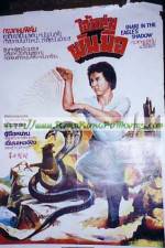 Watch Snake in the Eagle's Shadow II Myflixer