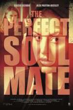 Watch The Perfect Soulmate Myflixer