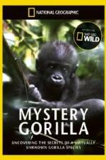 Watch National Geographic Mystery Gorilla Myflixer