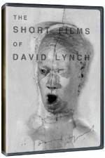 Watch The Short Films of David Lynch Myflixer