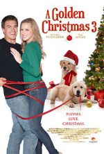 Watch A Golden Christmas 3 Myflixer