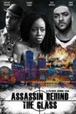 Watch Assassin Behind the Glass Myflixer