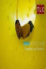 Watch Born Without Limbs Myflixer