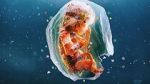 Watch Plastic People Myflixer
