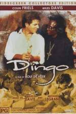 Watch Dingo Myflixer