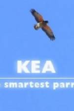 Watch Kea - The Smartest Parrot Myflixer