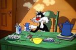 Watch The Last Hungry Cat Myflixer