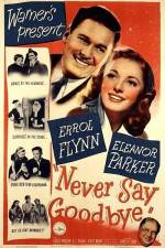 Watch Never Say Goodbye Myflixer