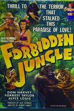 Watch Forbidden Jungle Myflixer