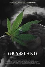 Watch Grassland Myflixer