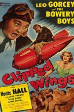 Watch Clipped Wings Myflixer