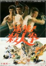 Watch The Street Fighter's Last Revenge Myflixer