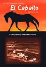 Watch El Caballo: The Wild Horses of North America Myflixer