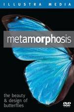 Watch Metamorphosis: The Beauty and Design of Butterflies Myflixer