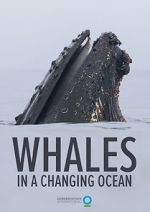 Watch Whales in a Changing Ocean (Short 2021) Myflixer