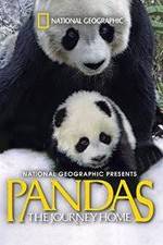 Watch Pandas: The Journey Home Myflixer
