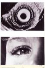 Watch The Searching Eye Myflixer