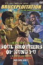 Watch Soul Brothers of Kung Fu Myflixer