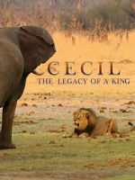 Watch Cecil: The Legacy of a King Myflixer