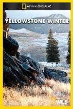 Watch National Geographic Yellowstone Winter Myflixer