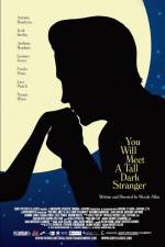 Watch You Will Meet a Tall Dark Stranger Myflixer