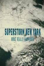 Watch Superstorm New York: What Really Happened Myflixer