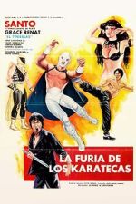 Watch The Fury of the Karate Experts Myflixer