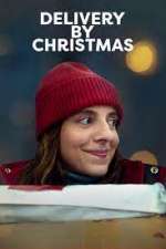Watch Delivery by Christmas Myflixer