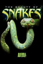 Watch Beauty of Snakes Myflixer