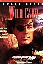 Watch Wild Card Myflixer