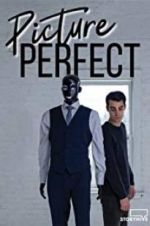 Watch Picture Perfect Myflixer