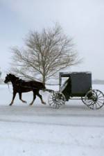Watch Leaving Amish Paradise Myflixer