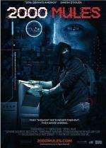 Watch 2000 Mules Myflixer