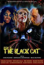 Watch POE 4: The Black Cat Myflixer