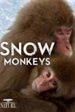 Watch Nature: Snow Monkeys Myflixer